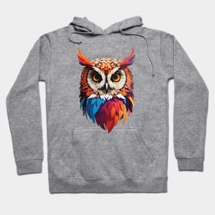 Colourful Owl with Woohoo word on her head Hoodie